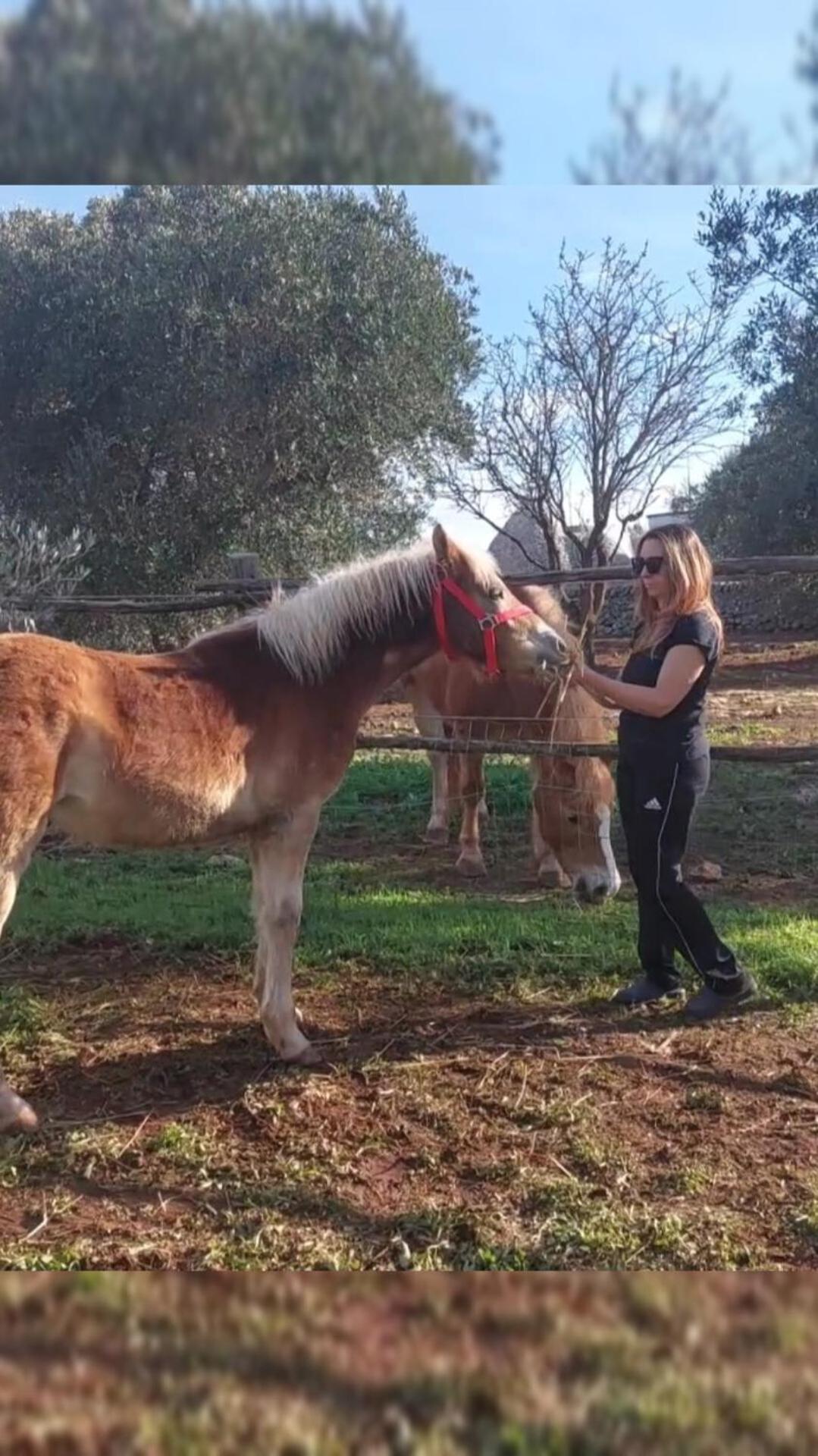 Trulli Aurasia Ostuni Zewnętrze zdjęcie