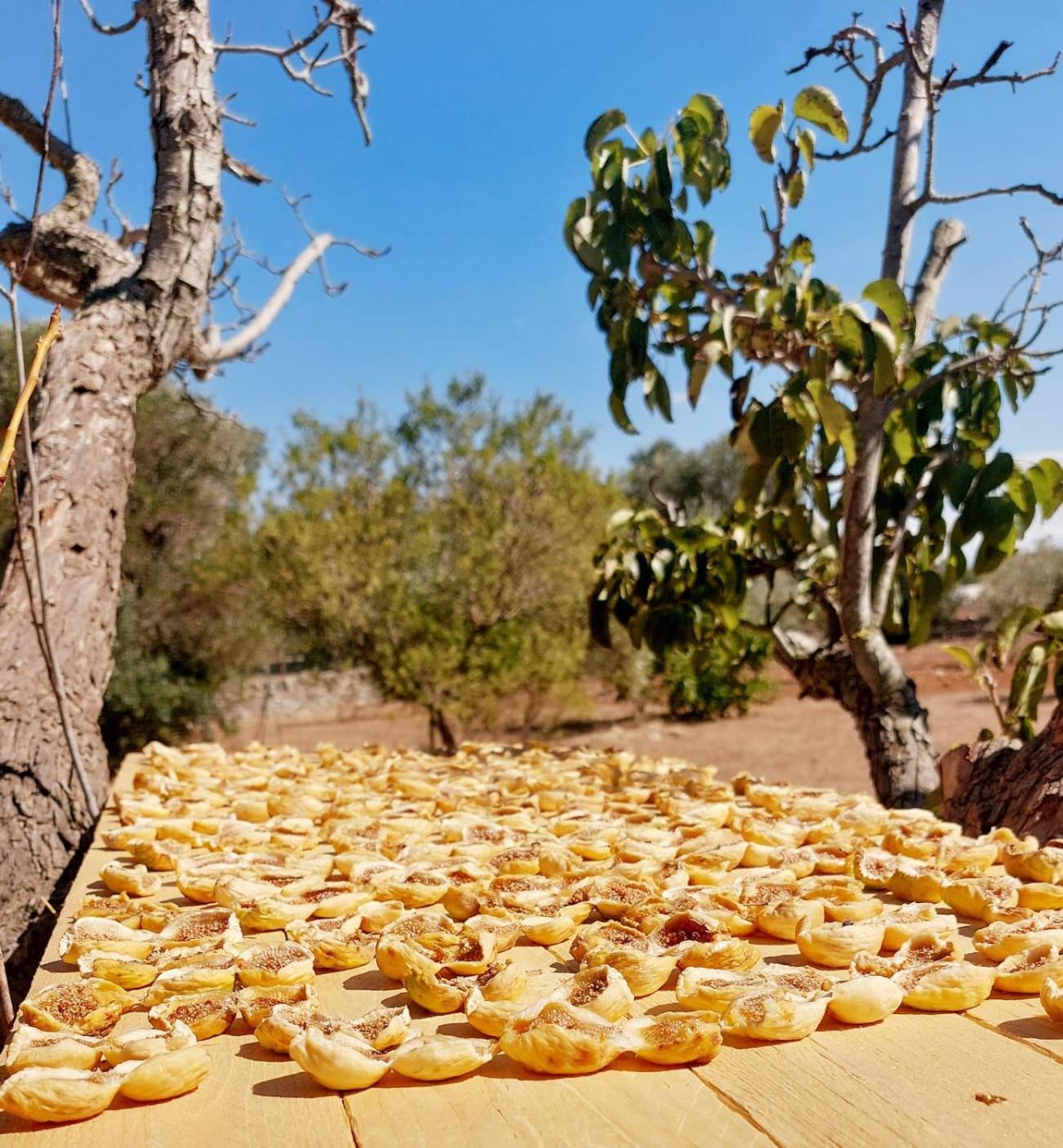 Trulli Aurasia Ostuni Zewnętrze zdjęcie