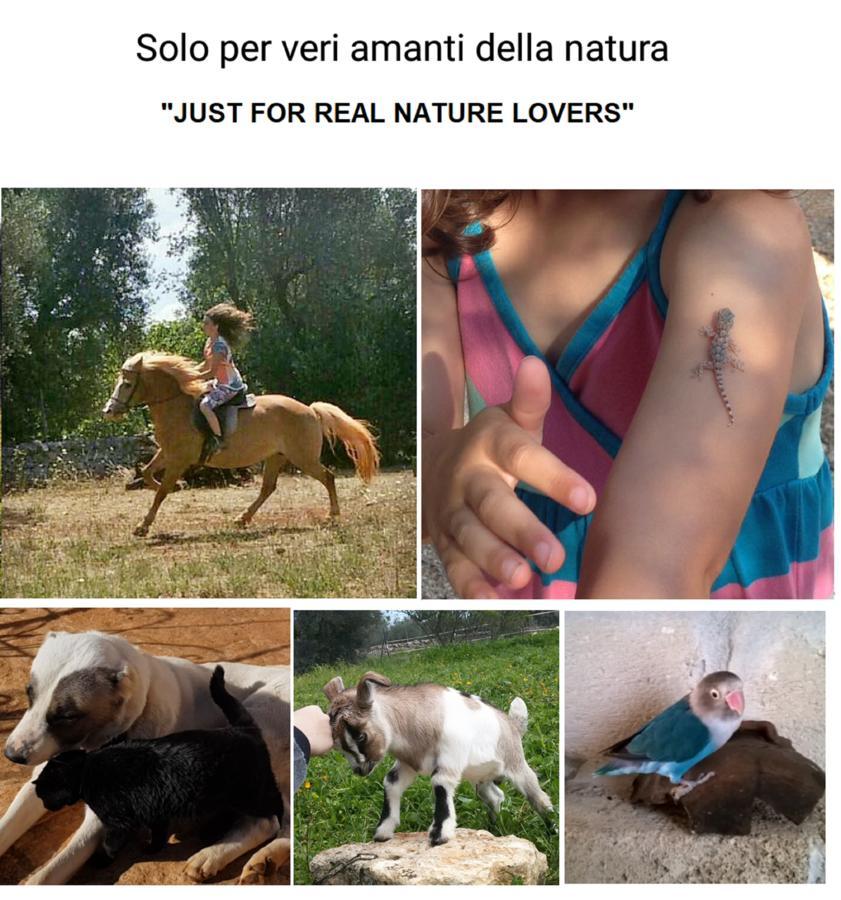 Trulli Aurasia Ostuni Zewnętrze zdjęcie