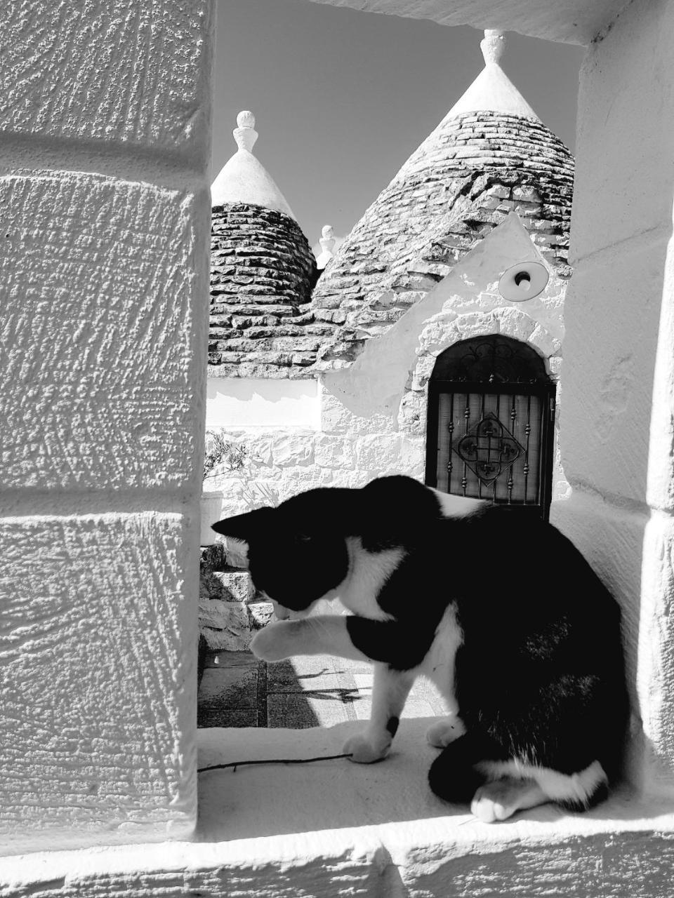 Trulli Aurasia Ostuni Zewnętrze zdjęcie