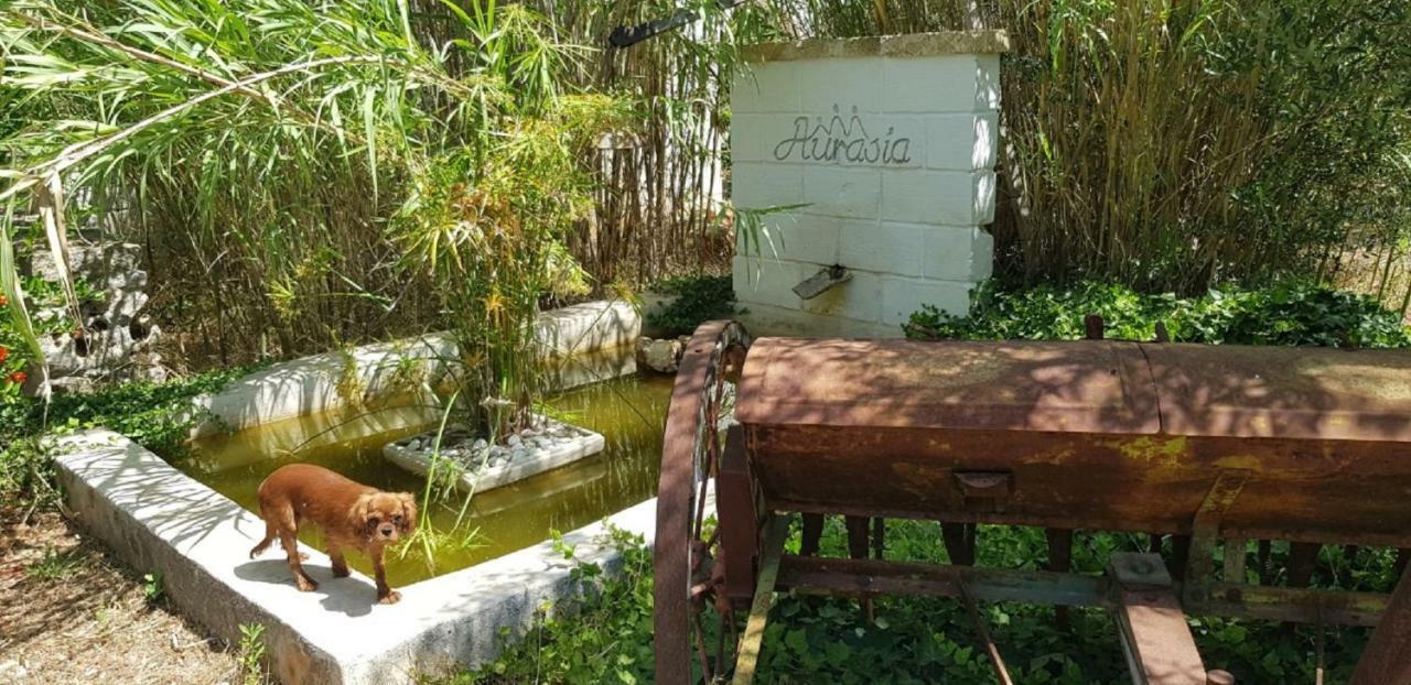 Trulli Aurasia Ostuni Zewnętrze zdjęcie
